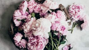 Read more about the article All You Need to Know About Self-Care
